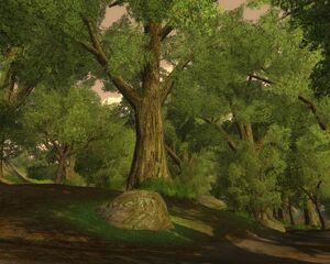 Chetwood
