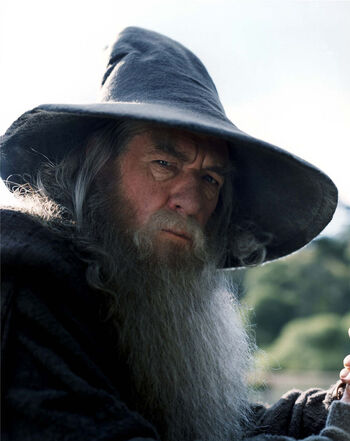 Gandalf The One Wiki To Rule Them All Fandom Powered By