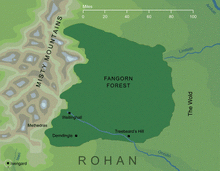 FangornForestMarkFisher