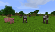 Shire - Cows - Pigs