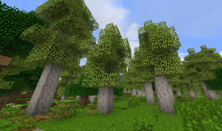 AspenForest