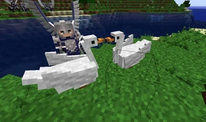 Bird  The Lord of the Rings Minecraft Mod Wiki  FANDOM 