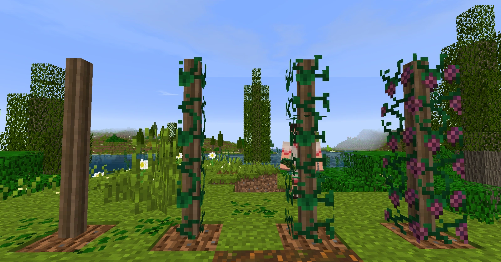 Grapevine Post The Lord of the Rings Minecraft Mod Wiki FANDOM