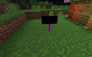 Missing Lairelosse Sign Texture Renewed 1.2