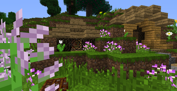 Windows hobbit hole