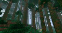 Far harad jungle