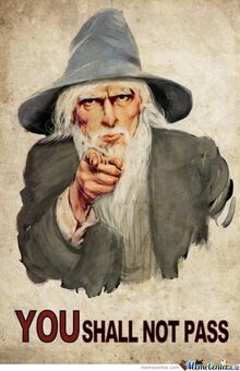 Gandalf-told-you o 342674