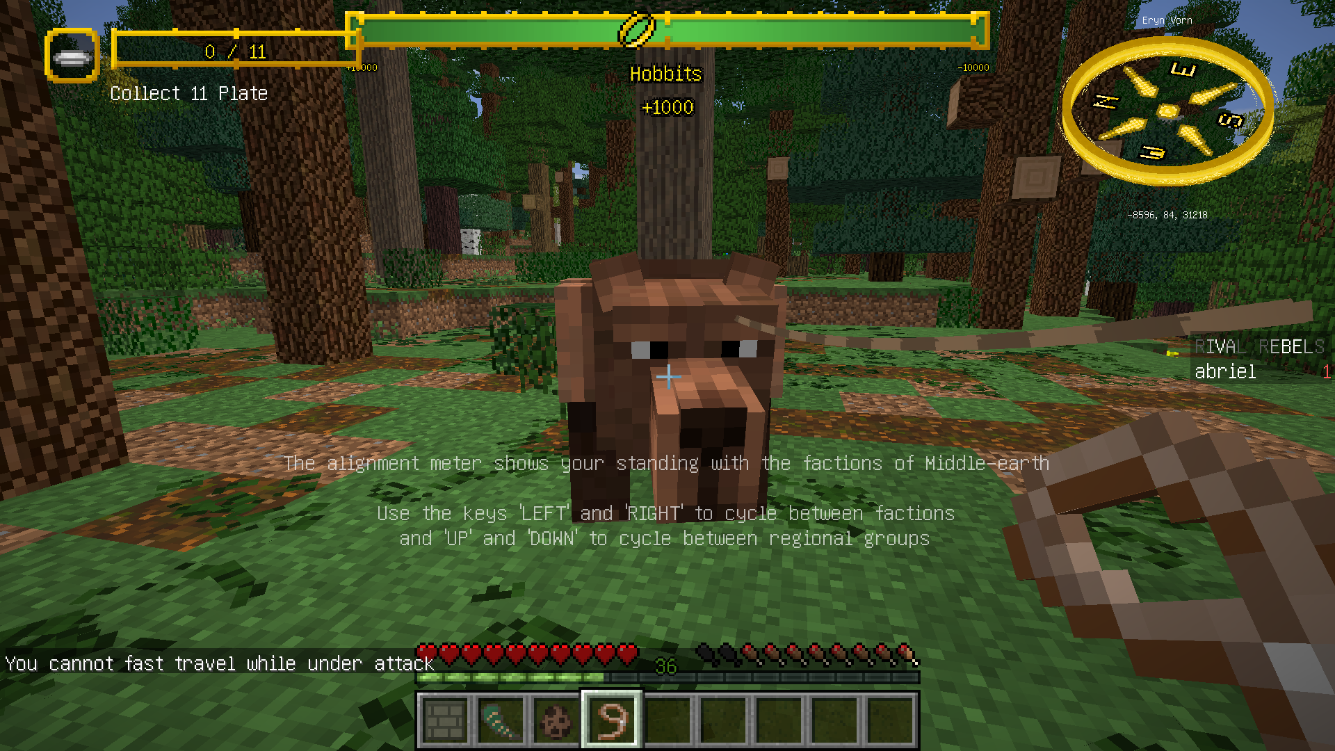 minecraft lotr mod and more player models