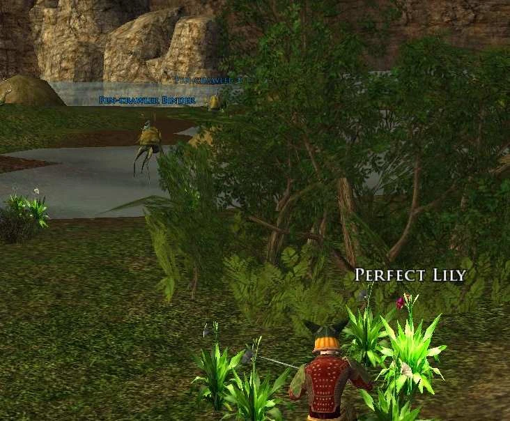 Lilies In The Valley Lord of the Rings Online Wiki FANDOM powered