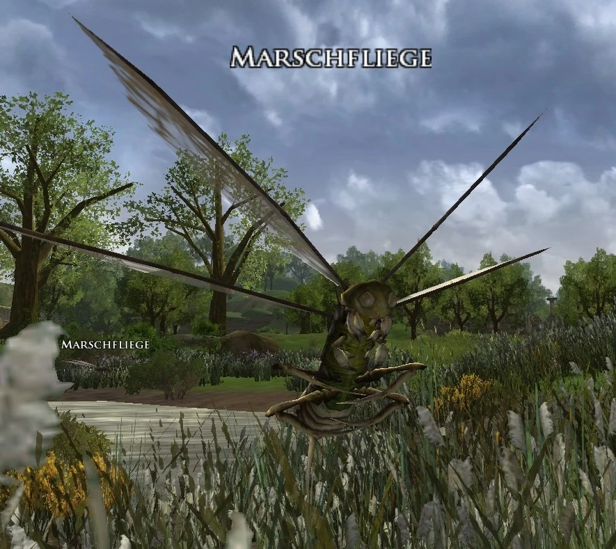 KategorieSpinnen und Insekten Der Herr der Ringe Online Wiki FANDOM powered by Wikia