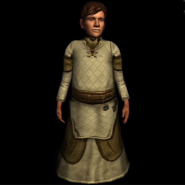 hobbit bathrobe