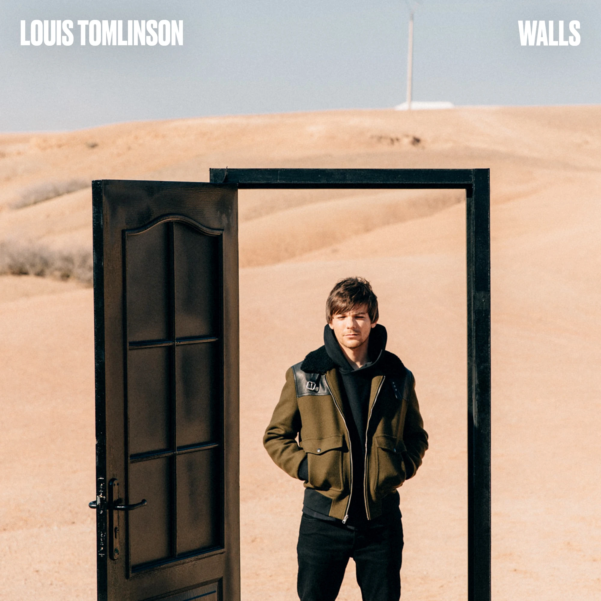 Walls (song) Louis Tomlinson Wiki Fandom