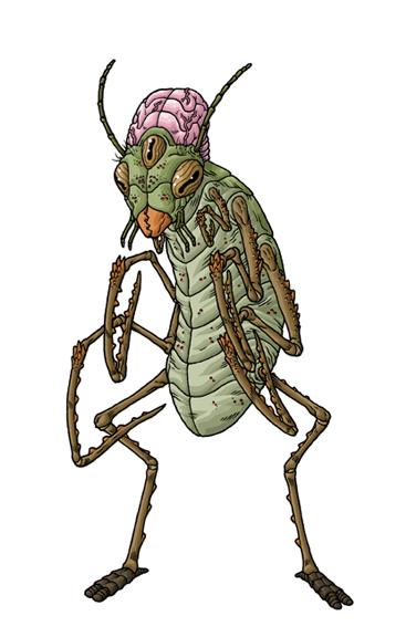 Insect philosopher | The H.P. Lovecraft Wiki | Fandom