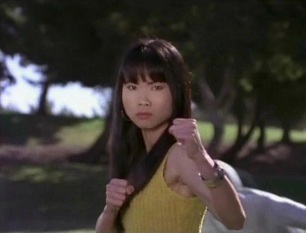 Trini Kwan Love Interest Wiki FANDOM powered by Wikia