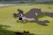 185px-Ladyandthetramp301