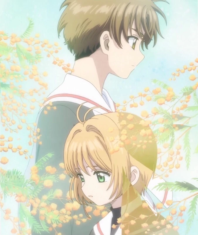 Kết quả hình ảnh cho sakura syaoran