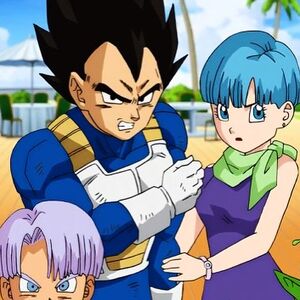 Bulma Love Interest Wiki Fandom