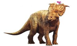 Imagejuniper
