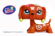 Blog uj 5116206 7948343 tr littlest pet shop 1010