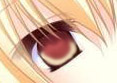 Anima eye