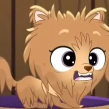 lps sweetie pom pom