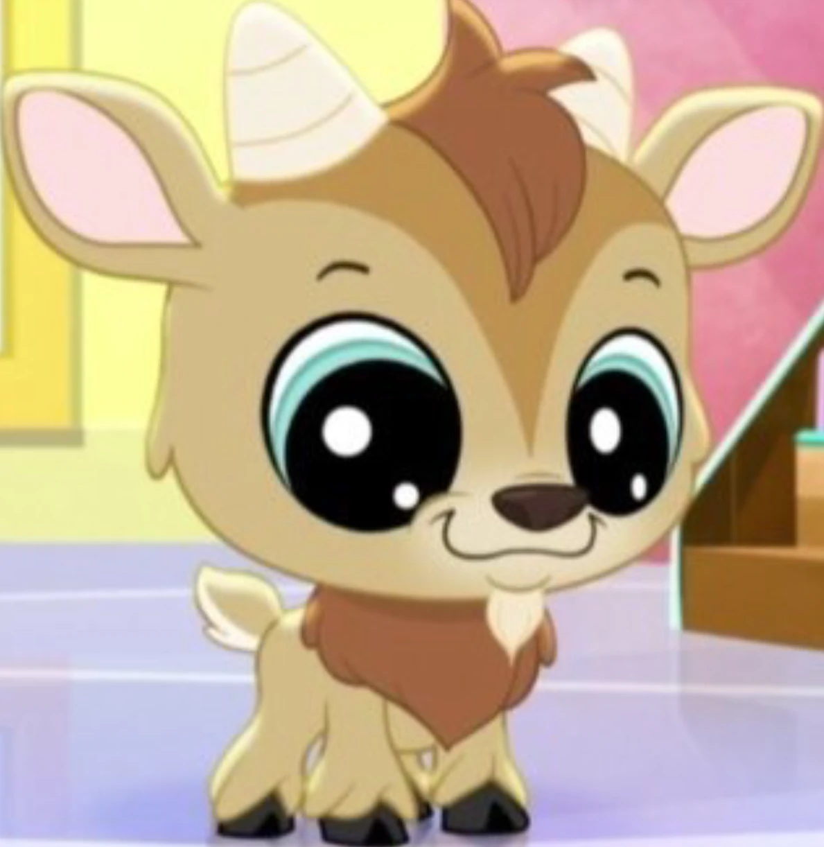 littlest pet shop quincy