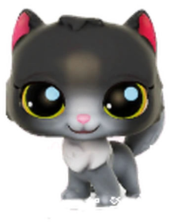 pet shop persian cat