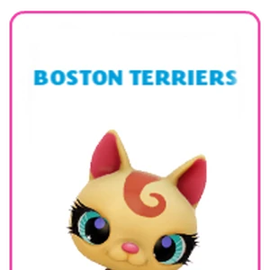 lps boston terrier