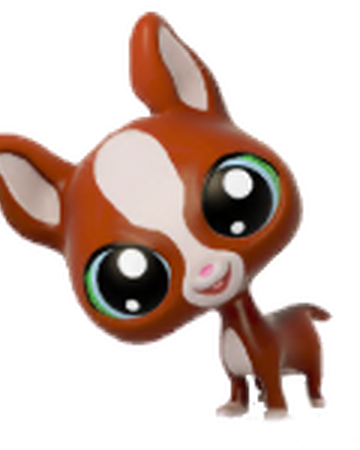 Chihuahuas Littlest Pet Shop Gameloft Wiki Fandom