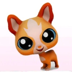 lps chihuahua numbers