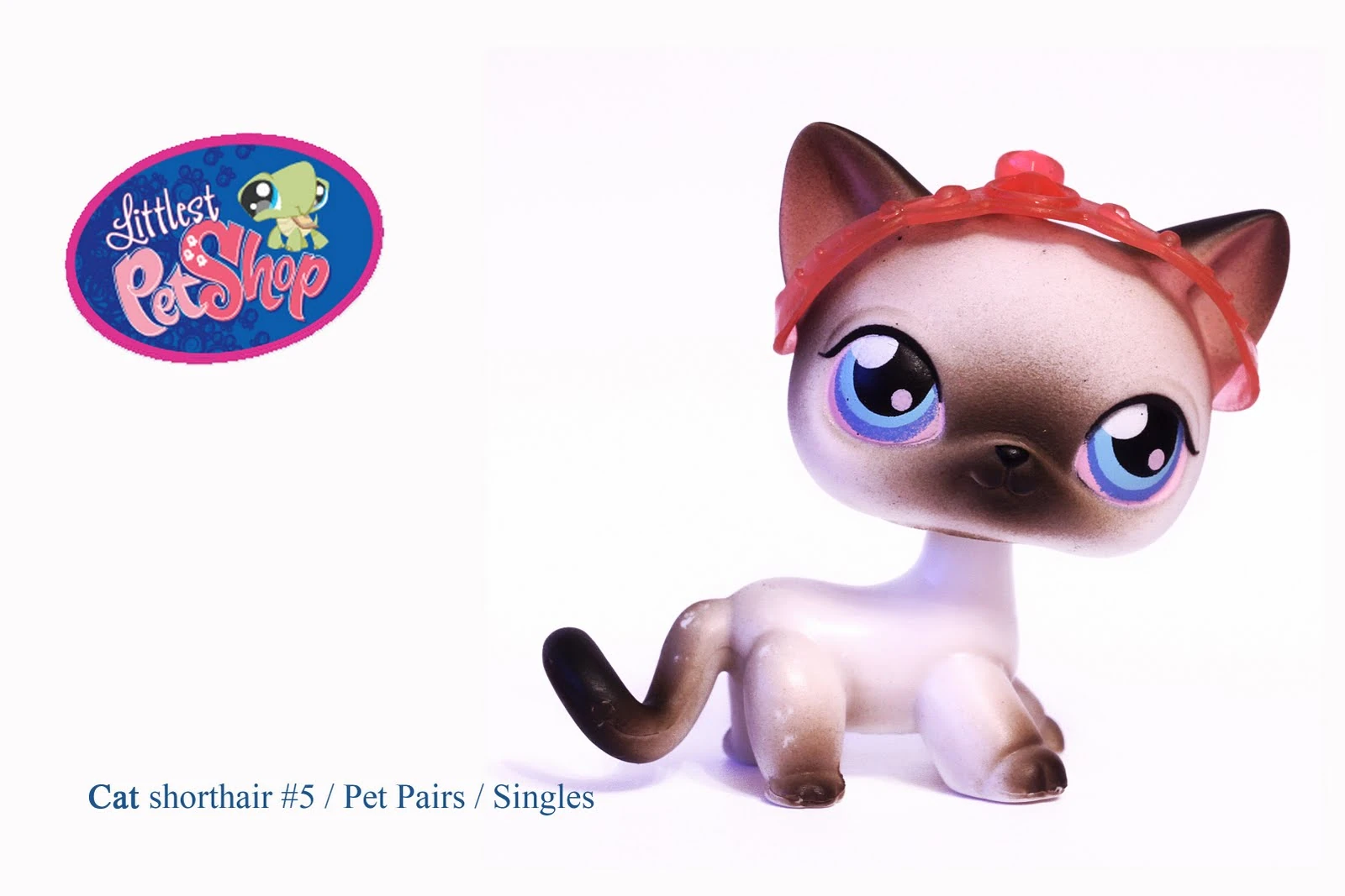 005 Siamese Cat Littlest Pet Shop Wiki FANDOM powered by Wikia