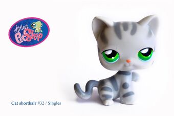 32 Shorthair Cat Littlest Pet Shop Wiki Fandom