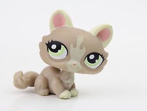 1370 | Littlest Pet Shop Wiki | FANDOM powered by Wikia