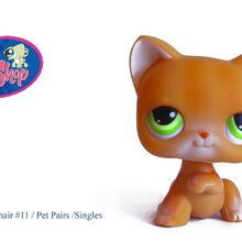 011 Shorthair Cat Littlest Pet Shop Wiki Fandom