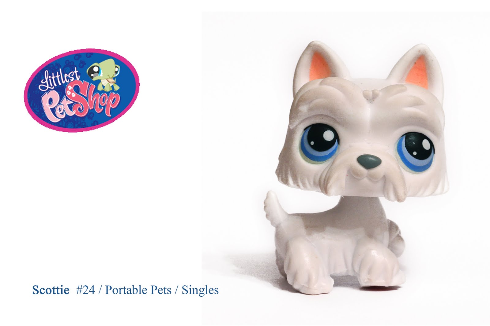 024 | Littlest Pet Shop Wiki | Fandom