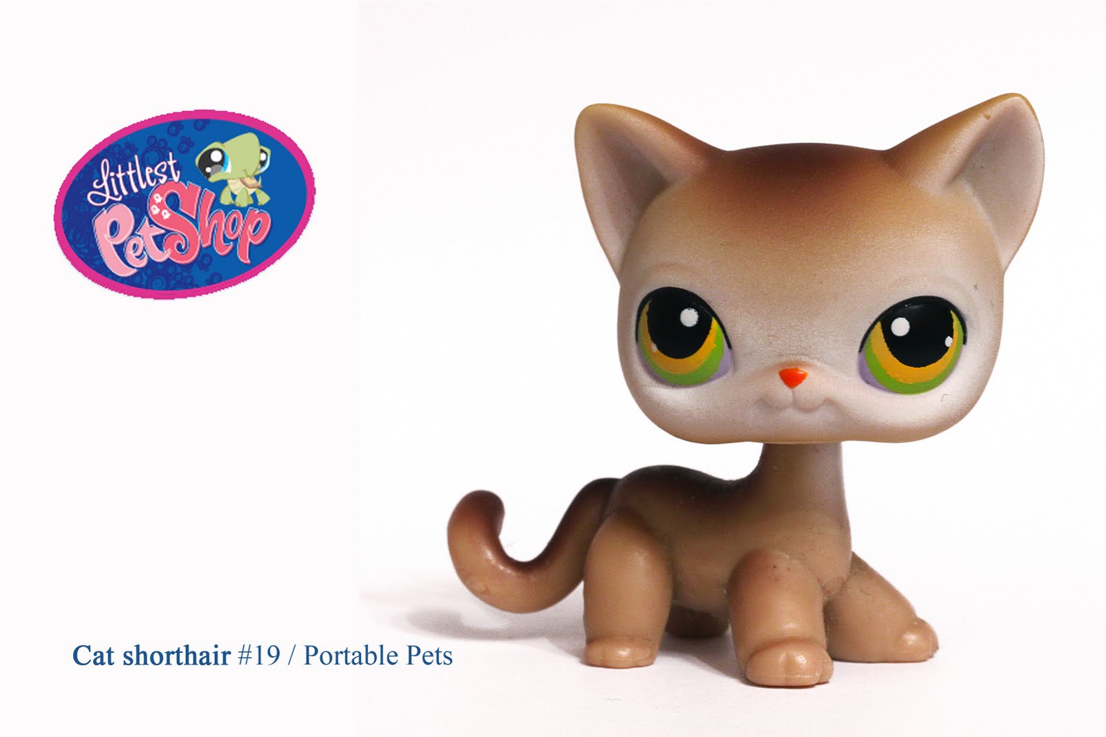 019 | Littlest Pet Shop Wiki | FANDOM powered by Wikia