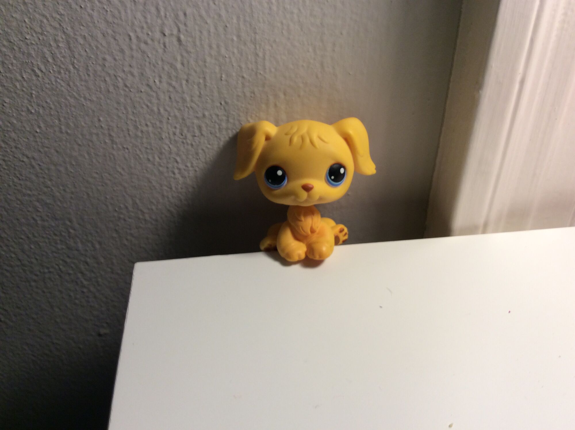 021 | Littlest Pet Shop Wiki | Fandom