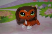 LPS Number 675