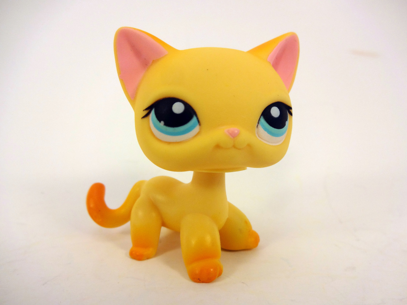 339 Cat | Littlest Pet Shop Wiki | FANDOM powered by Wikia