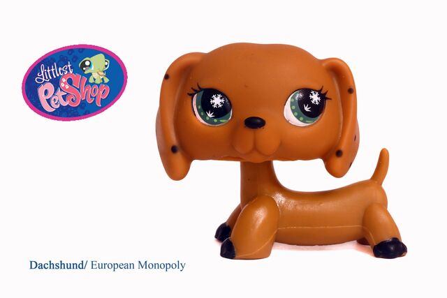 Image - Lps 12.jpg | Littlest Pet Shop Wiki | FANDOM powered by Wikia