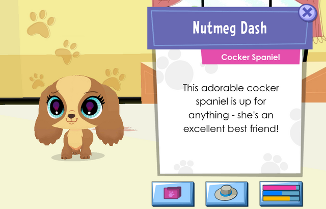 Image - Screenshot 2016-01-15-01-54-32-2.png | Littlest Pet Shop (2012