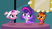 Terriers and Tiaras | Littlest Pet Shop (2012 TV series) Wiki | FANDOM ...