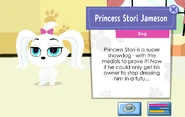 Princess Stori Jameson | Littlest Pet Shop (2012 TV series) Wiki
