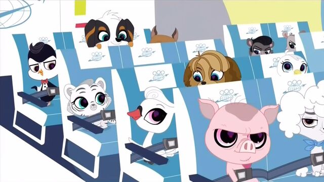 Image - ScreenCapture 25.01.14 19-52-10.jpg | Littlest Pet Shop (2012