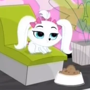 Princess Stori Jameson | Littlest Pet Shop (2012 TV series) Wiki