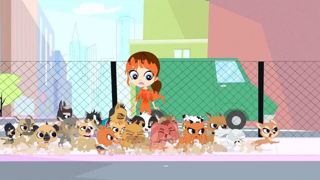 Image - ScreenCapture 17.03.14 12-49-28.jpg | Littlest Pet Shop (2012