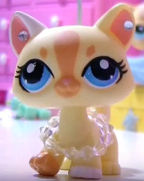lps brooke