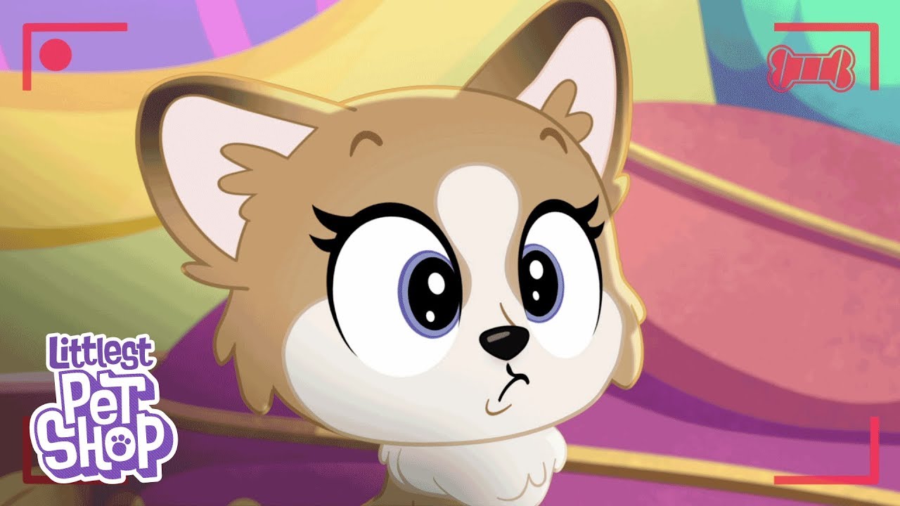 littlest pet shop barbie