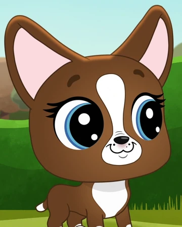 roxie daisy pet salon