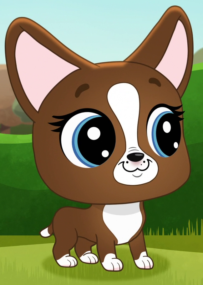 Петы собаки мальчики. Littlest Pet shop Рокси. Джейд little Pet shop. Little Pet shop Рокси. Тайный мир питомцев Джейд.